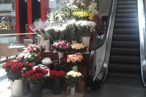 MUDO Outlet - Resim 13