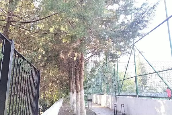 İzmir Buca Süleyman Şah Mesleki ve Teknik Anadolu Lisesi - Resim 4