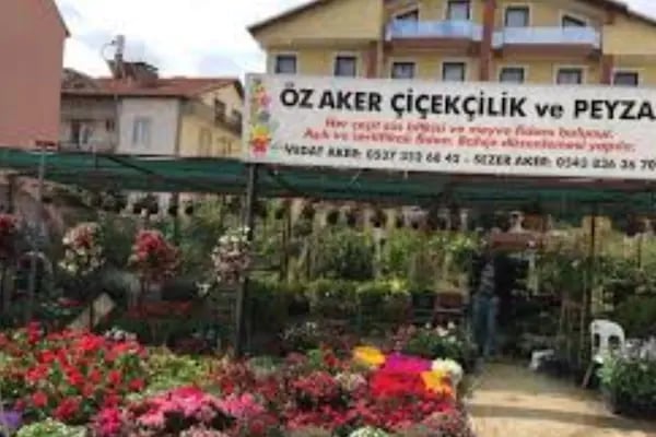 Ünlü Çiçekçilik peyzaj - Resim 2