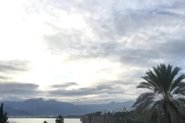 Villa Tulipan - Resim 12