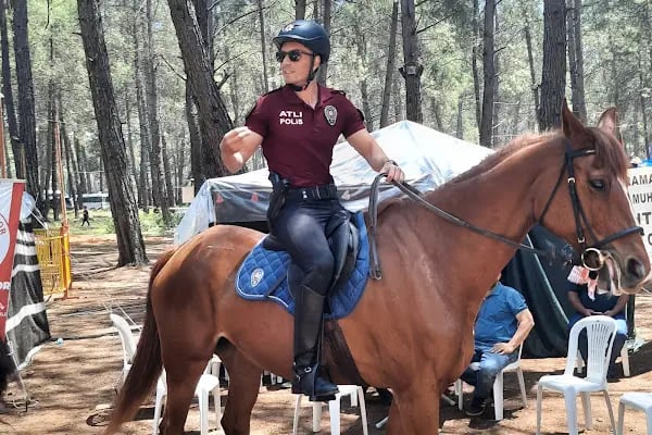 Düzler Çamı Milli Parkı - Resim 9