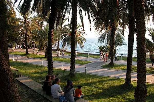 Düzler Çamı Milli Parkı - Resim 12
