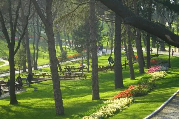 Düzler Çamı Milli Parkı - Resim 11