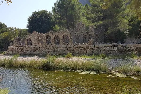 Düzler Çamı Milli Parkı - Resim 8