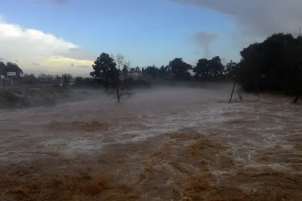 Düzler Çamı Milli Parkı - Resim 7