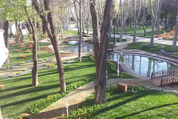 Düzler Çamı Milli Parkı - Resim 1