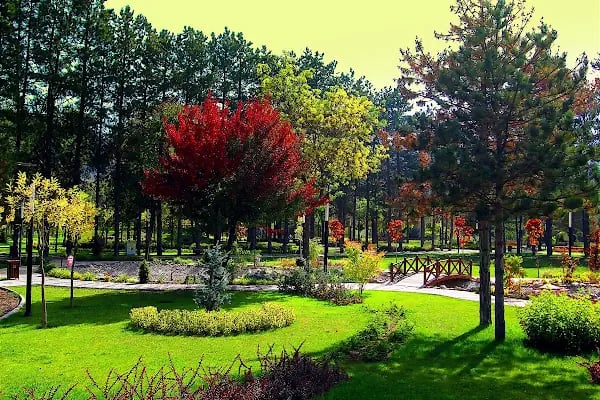 Düzler Çamı Milli Parkı - Resim 19