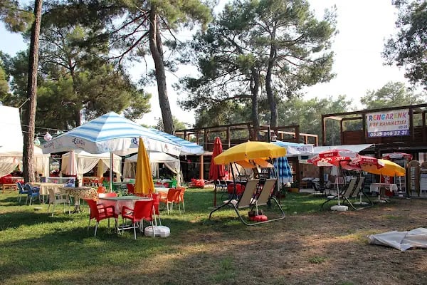 Düzler Çamı Milli Parkı - Resim 2