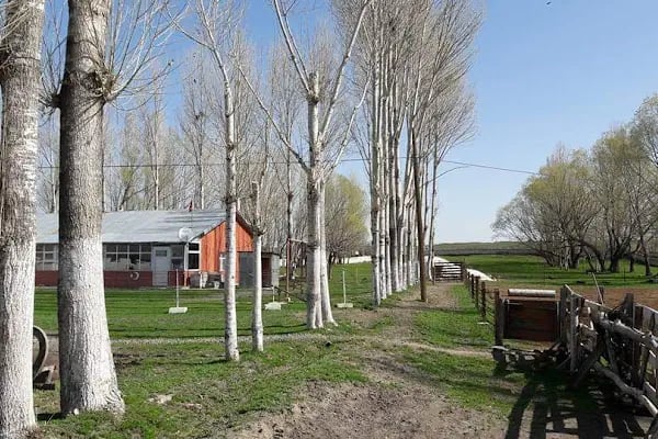 Esenyayla Köyü Muhtarlığı - Resim 5