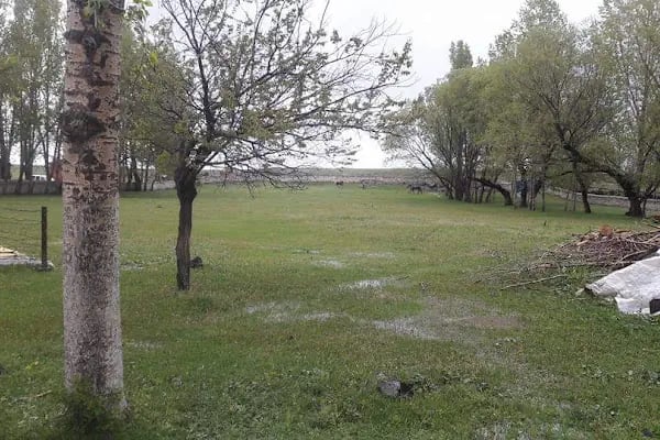 Esenyayla Köyü Muhtarlığı - Resim 15