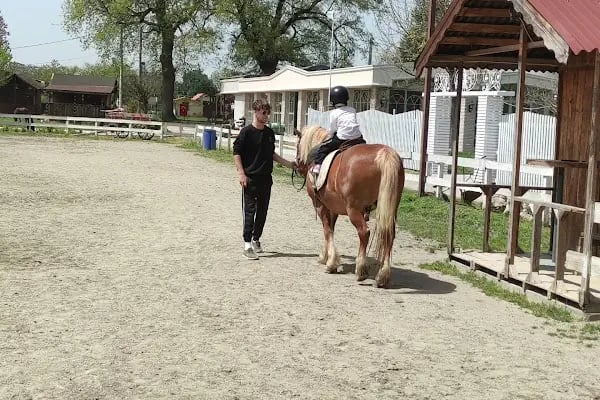 Bursa Haflinger Çiftliği - Resim 14