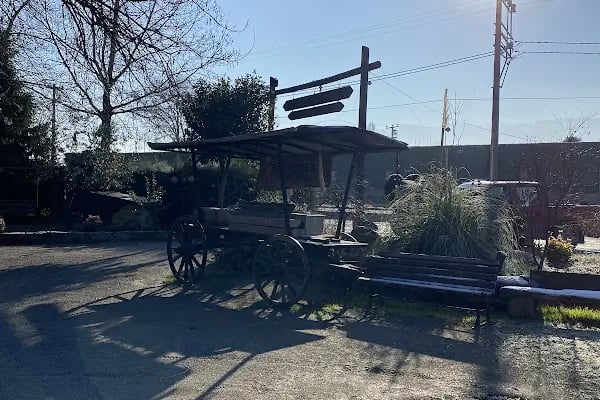 Bursa Haflinger Çiftliği - Resim 20