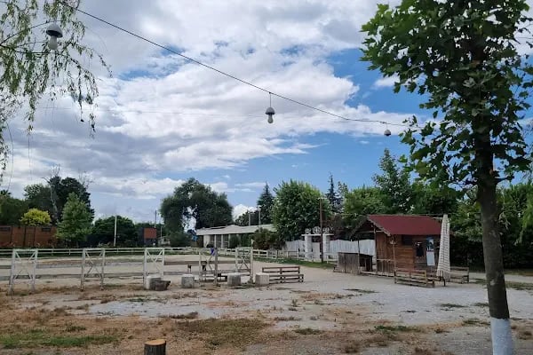 Bursa Haflinger Çiftliği - Resim 6