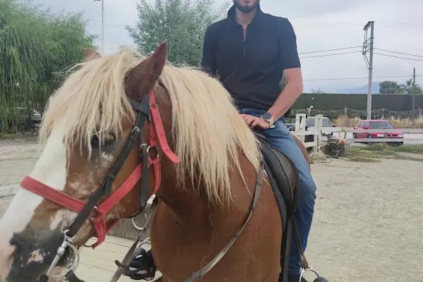 Bursa Haflinger Çiftliği - Resim 7