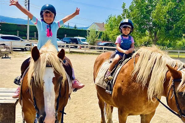 Bursa Haflinger Çiftliği - Resim 5