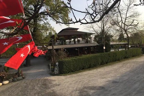 Bursa Haflinger Çiftliği - Resim 12