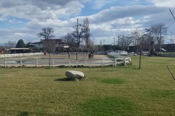Bursa Haflinger Çiftliği - Resim 10
