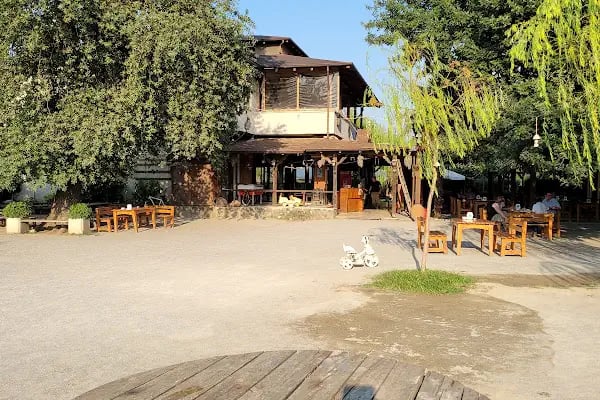 Bursa Haflinger Çiftliği - Resim 15