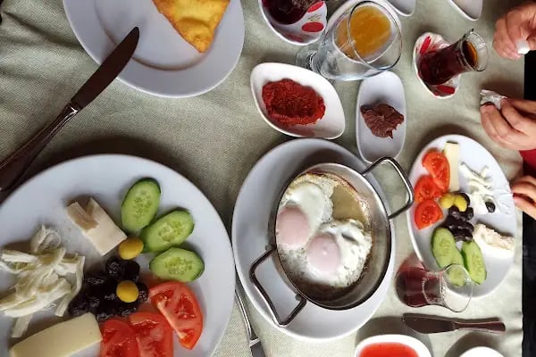 Bursa Haflinger Çiftliği - Resim 8