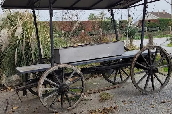 Bursa Haflinger Çiftliği - Resim 18