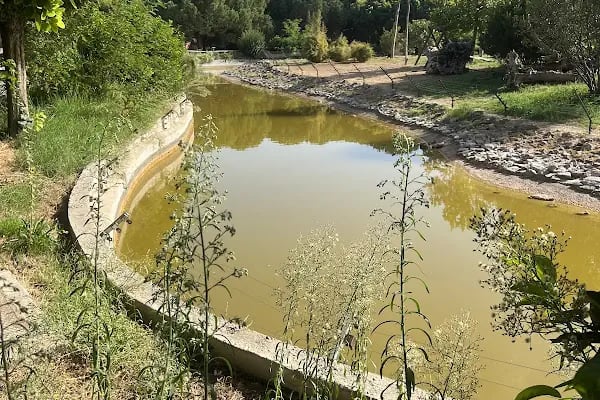 Yaşam Park - Resim 14