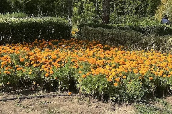 Yaşam Park - Resim 18