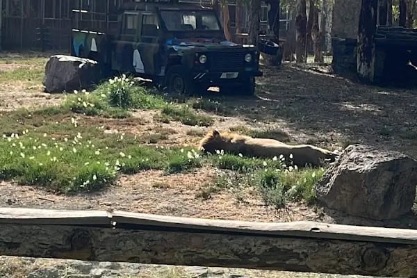 Yaşam Park - Resim 9