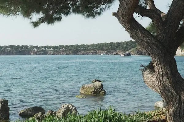 Teos Kınalıada Beach &amp; Restaurant - Resim 8