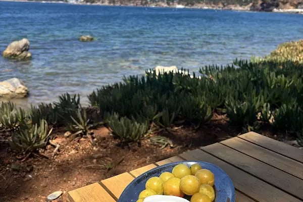 Teos Kınalıada Beach &amp; Restaurant - Resim 13