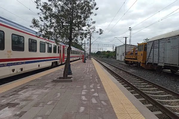 Pehlivanköy Tren İstasyonu - Resim 20