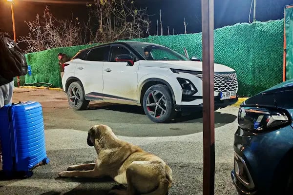 AUTOLAND İSTANBUL HAVALİMANI (IGA) - Resim 5