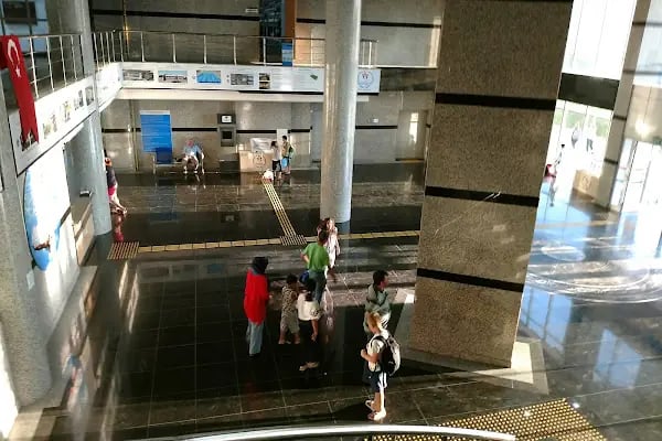 Bursa Atıcılar Havuzu Yüzme Dünyası Spor Kulübü - Resim 3