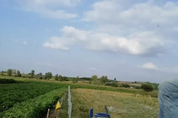 Hamak Grup Tel Örgü ve Panel Çit Sistemleri - Resim 15