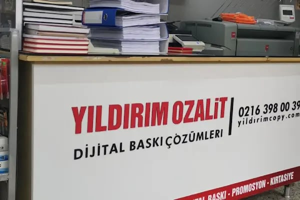Yıldırım Ozalit - Resim 13