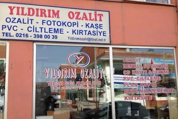 Yıldırım Ozalit - Resim 14