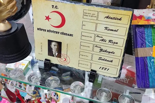 Yıldırım Ozalit - Resim 11