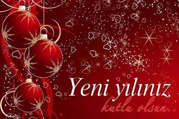 Yıldırım Ozalit - Resim 16