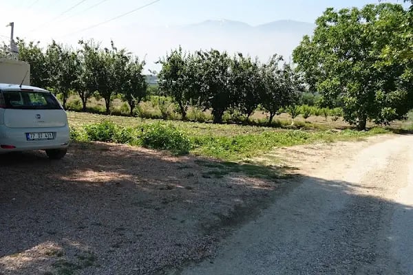 Gizem Soğuk Hava Deposu - Resim 4