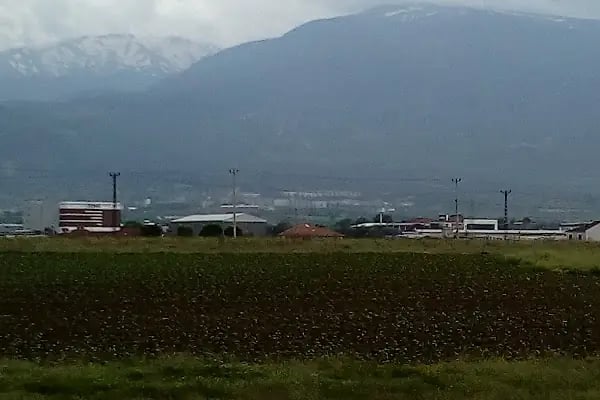 Akhisar Semt Parkı - Resim 4