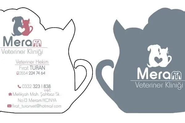 MERAM VETERİNER KLİNİĞİ - Resim 20