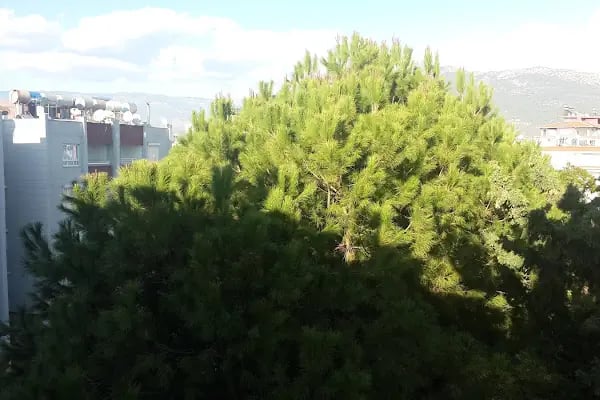 Barış Sitesi - Resim 2
