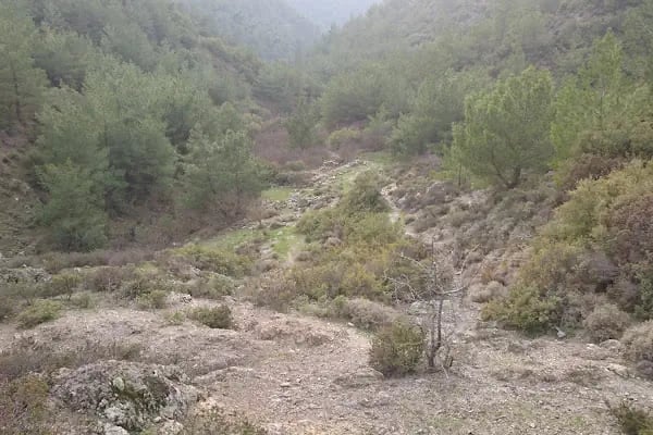 Balçova Barajı - Resim 8
