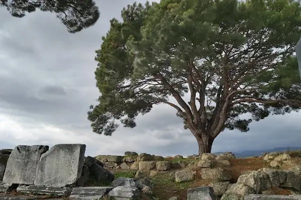 Büyük Sunak Yukarı Agora - Resim 11