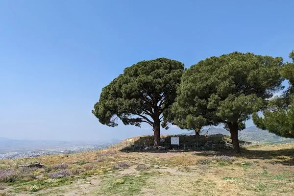 Büyük Sunak Yukarı Agora - Resim 2