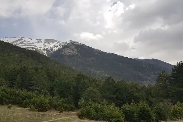 KETENLİK YAYLASI - Resim 3