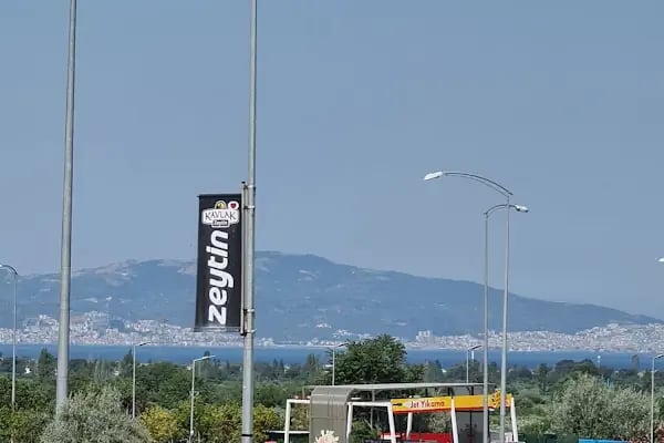 O68 Oksijen Gemlik - Resim 6