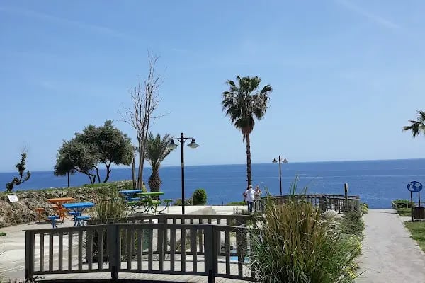 Pinus Apart Otel - Resim 4