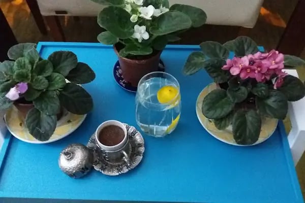 Yaprakkent Sitesi A Blok - Resim 3