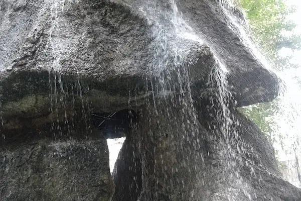 Ceylanpınar Gençlik Parkı - Resim 5