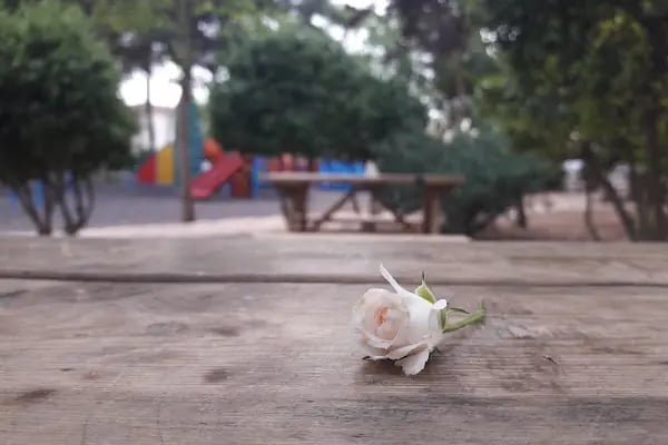 Ceylanpınar Gençlik Parkı - Resim 19